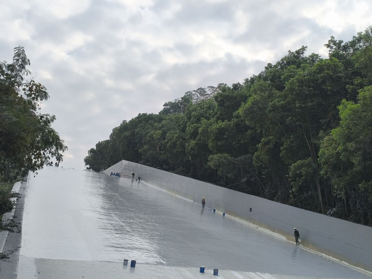 IMG_20250108_161105.jpg IMG_20250108_161105.jpg