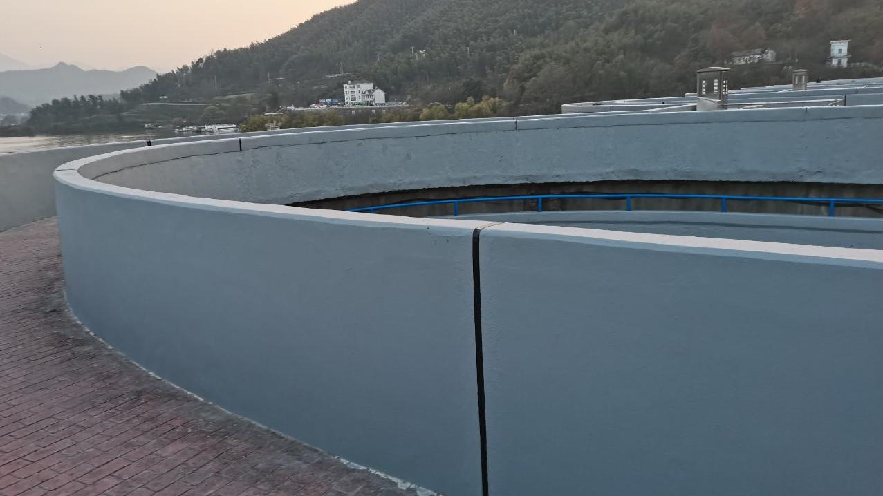 佛子岭水库大坝防浪墙维修防护工程